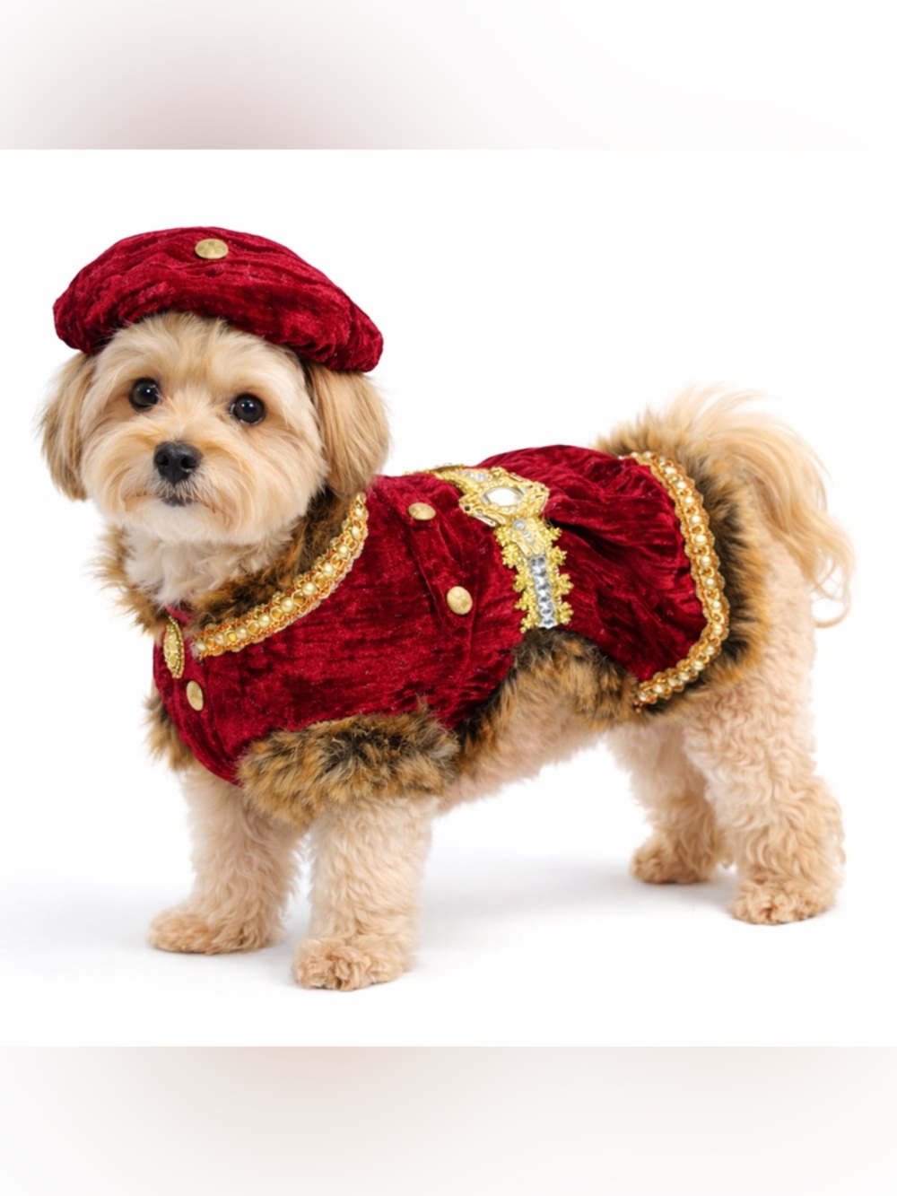 Mark Roberts Royal Dog Outfit Red Velvet Faux Fur Medium Designer OOAK